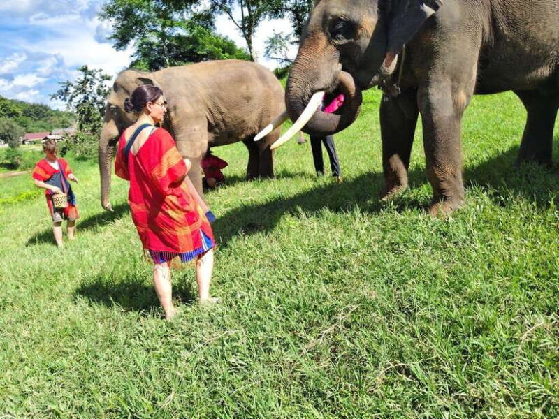 Sticky Waterfalls- Elephants- Bamboo or White Water Rafting. - Pricing and Reservations