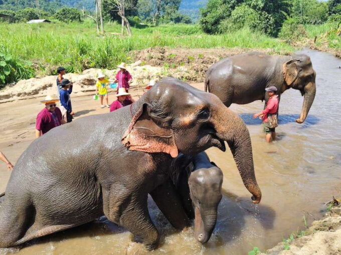 Sticky Waterfalls- Elephants- Bamboo or White Water Rafting. - White Water Rafting or Bamboo Rafting
