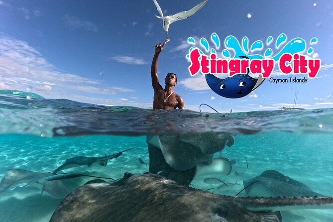 Stingray City and Starfish Experience with Coral Reef Snorkeling - The Experience: What You Can Expect