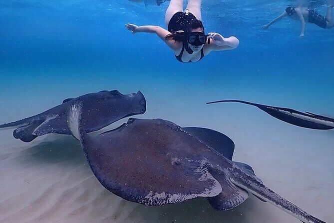 Stingray City and Starfish Experience with Coral Reef Snorkeling - Who Would Love This Tour?