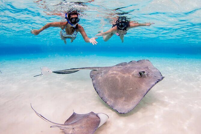 Stingray City and Starfish Experience with Coral Reef Snorkeling - FAQ