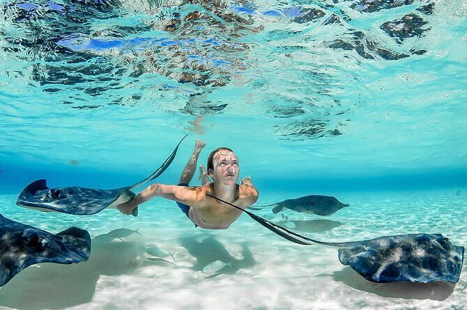 Stingray City and Two Reef Snorkeling Cayman Adventure - Setting the Scene: What the Tour Offers