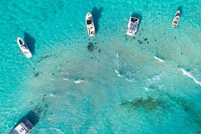 Stingray City and Two Reef Snorkeling Cayman Adventure - What Travelers Say