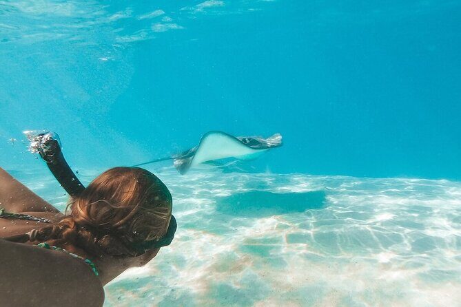 Stingray City and Two Reef Snorkeling Cayman Adventure - The Sum Up