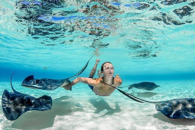 Stingray City and Two Reef Snorkeling Cayman Adventure - FAQs