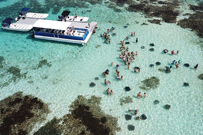 Stingray City Antigua for all the ages - ROUND TRIP INCLUDED - Discovering Stingray City Antigua: A Family-Friendly Adventure Worth Making Time For
