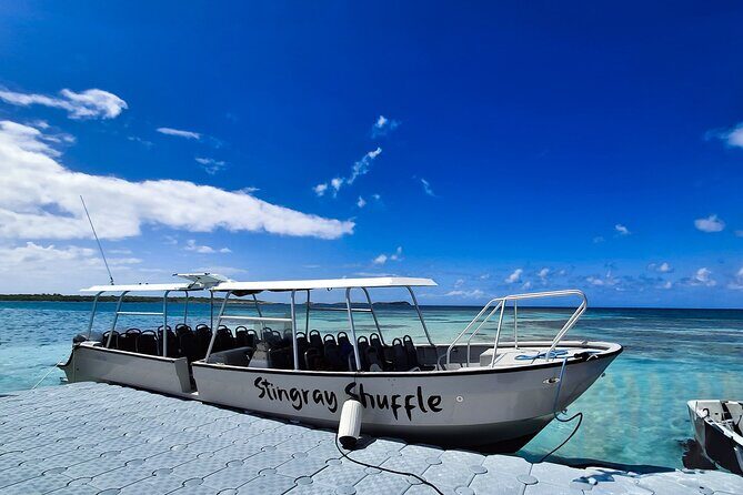 Stingray City Antigua for all the ages - ROUND TRIP INCLUDED - Final Verdict