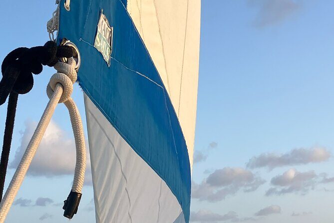 Stingray City Catamaran Sunset Tour - The Bottom Line: Who Should Book This Tour?