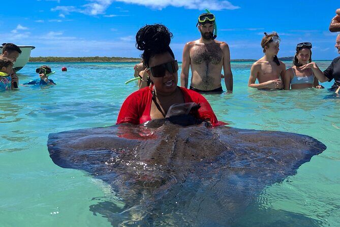 Stingray City Experience Antigua - Cruise Ship Passengers Edition - An In-Depth Look at the Tour