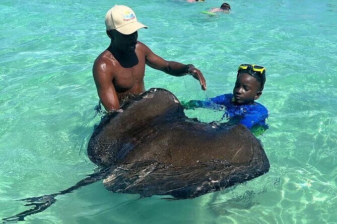 Stingray City Experience Antigua - Cruise Ship Passengers Edition - Who Would Love This Experience?