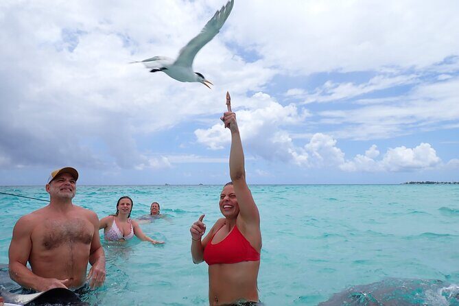 Stingray City Sandbar Experience - FAQ