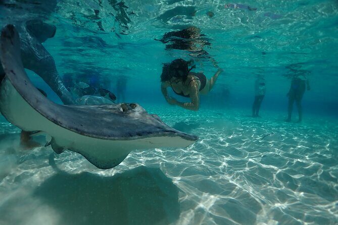 Stingray City Sandbar, Snorkel, Star fish Beach (Family operated) - What Makes This Tour Stand Out