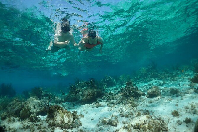 Stingray City Sandbar, Snorkel, Star fish Beach (Family operated) - Starfish Point: Nature’s Touch