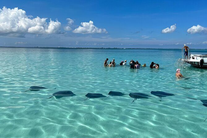 StingrayCity ,Coral Garden & Starfish Tour. - Key Points