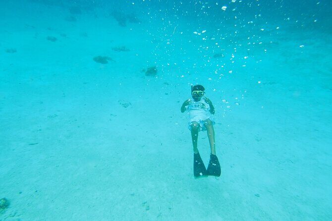 StingrayCity ,Coral Garden & Starfish Tour. - The Sum Up