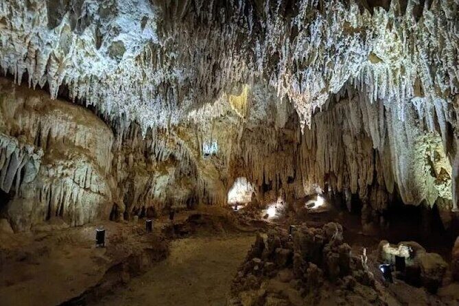 Stingrays, Starfish and Crystal Cave Adventure - A Detailed Look at the Tour Experience