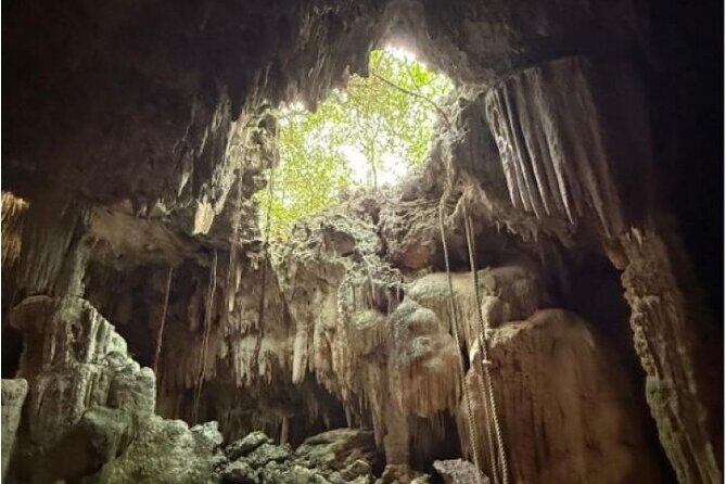 Stingrays, Starfish and Crystal Cave Adventure - Transportation and Logistics