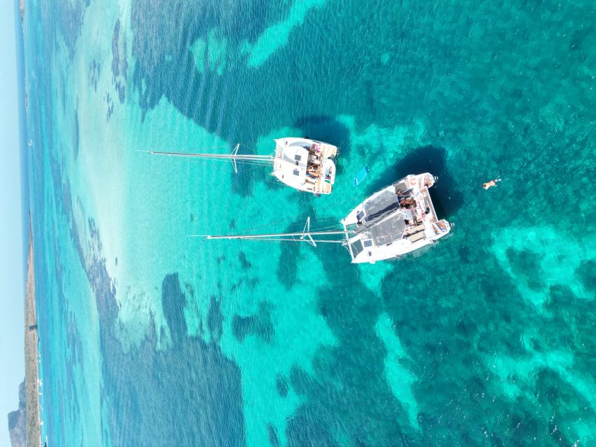 Stintino: Full Day Trip Catamaran to Asinara Island - Frequently Asked Questions