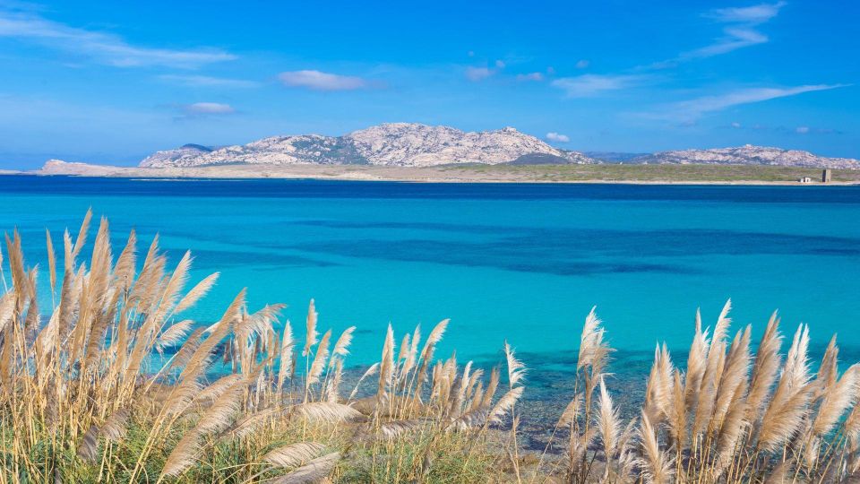 Stintino: Half-Day Catamaran Tour to La Pelosa With Aperitif - Important Tour Information