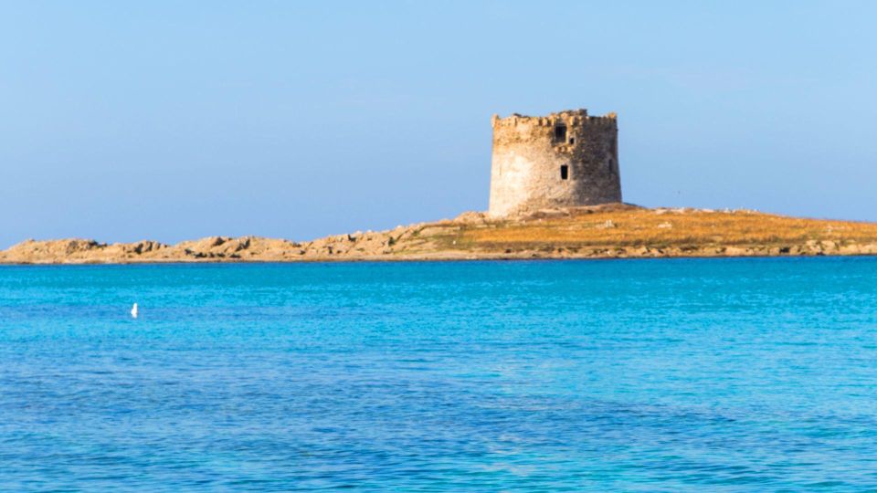Stintino: Half-Day Catamaran Tour to La Pelosa With Aperitif - Customer Reviews