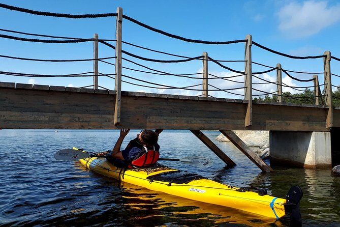 Stockholm Archipelago Kayaking Day Tour - Who Will Love This Tour?