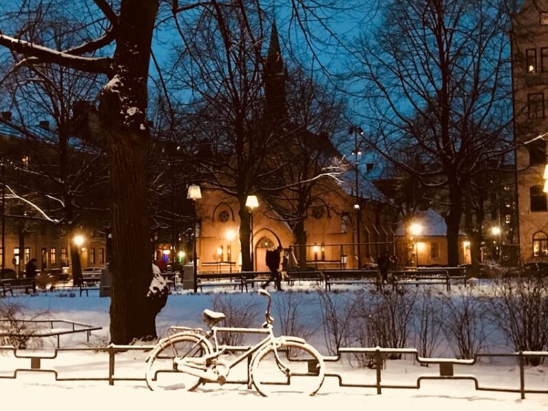 Stockholm: Christmas Markets & Lights Guided Walking Tour - Key Points