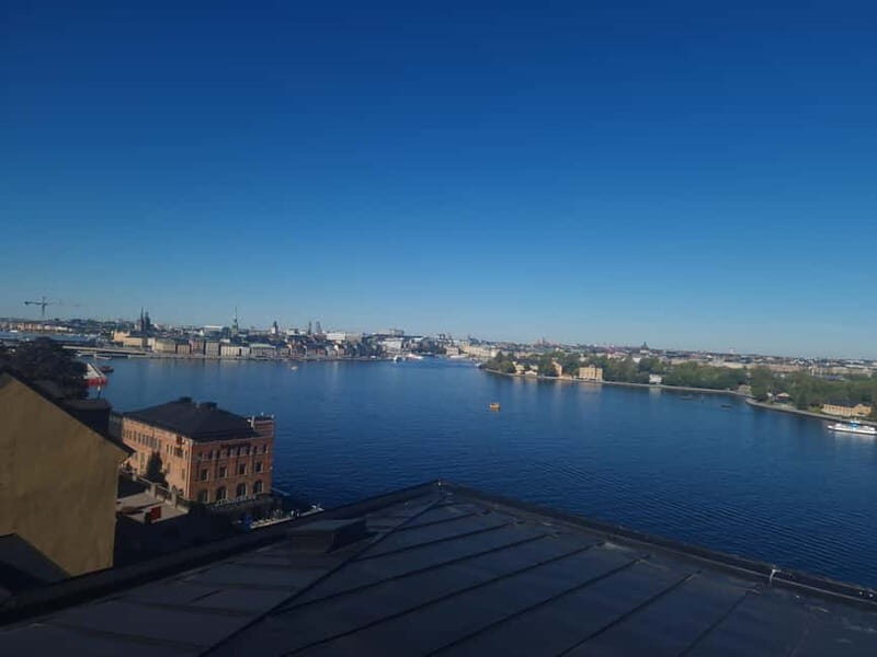 Stockholm City: Visit Icebar and Vasamuseum - Who Should Consider This Tour?