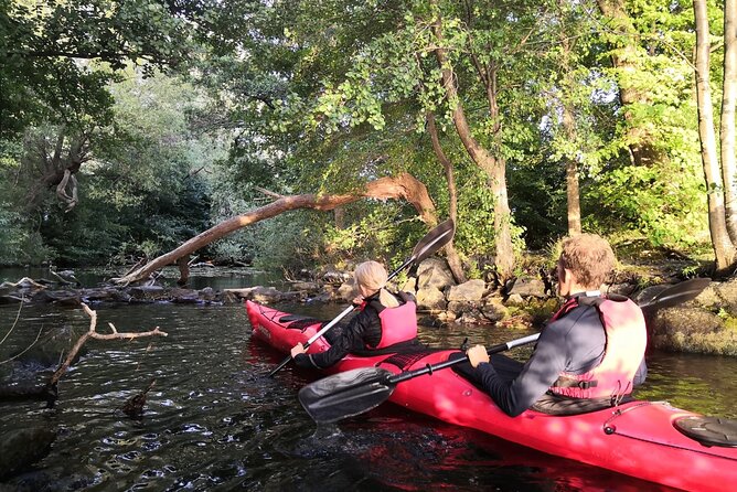 Stockholm Evening Kayak With BBQ - Small Group - Whats Included
