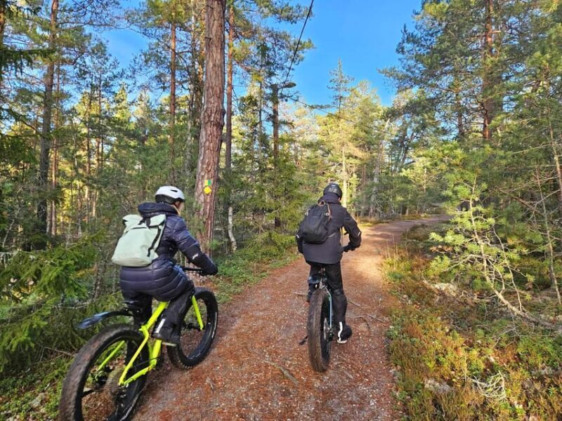 Stockholm: Fat Bike Forest Adventure with Lunch and Sauna - Final Thoughts