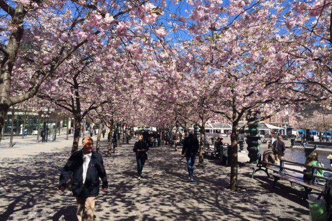 Stockholm: First Discovery Walk and Reading Walking Tour - Customer Reviews and Ratings