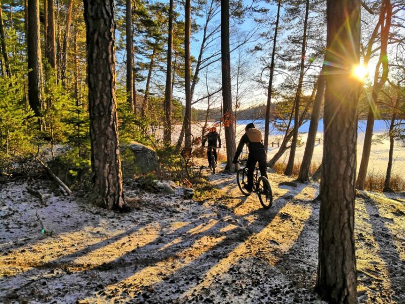 Stockholm: Forest Mountain Biking Adventure for Beginners - Experience Highlights