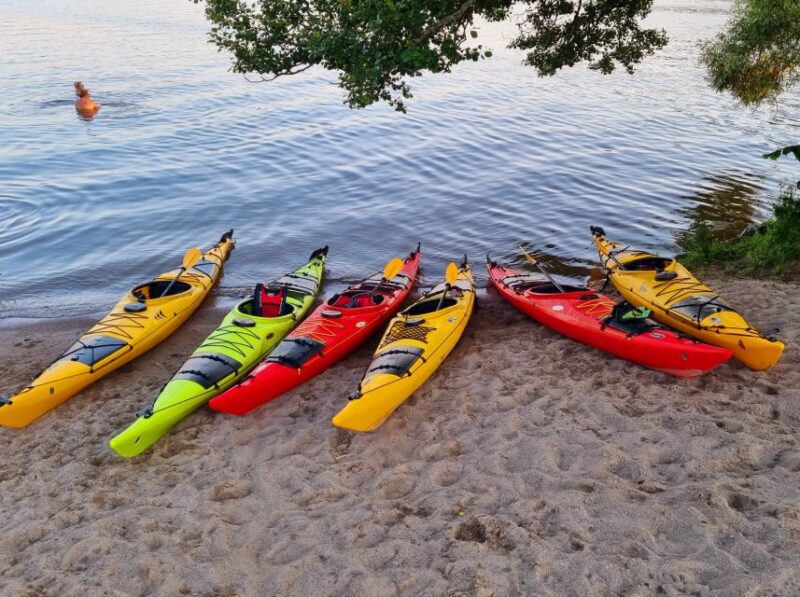 Stockholm: Guided Kayak Tour to Drottningholm Royal Palace - Itinerary and Activities