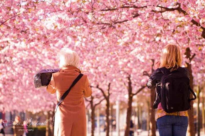 Stockholm: Highlights Guided Walking Tour - Exploring Stockholm in Two Hours
