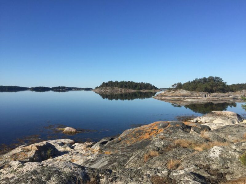 Stockholm: Morning Kayak Tour in the Archipelago with Lunch - What to Expect from the Tour