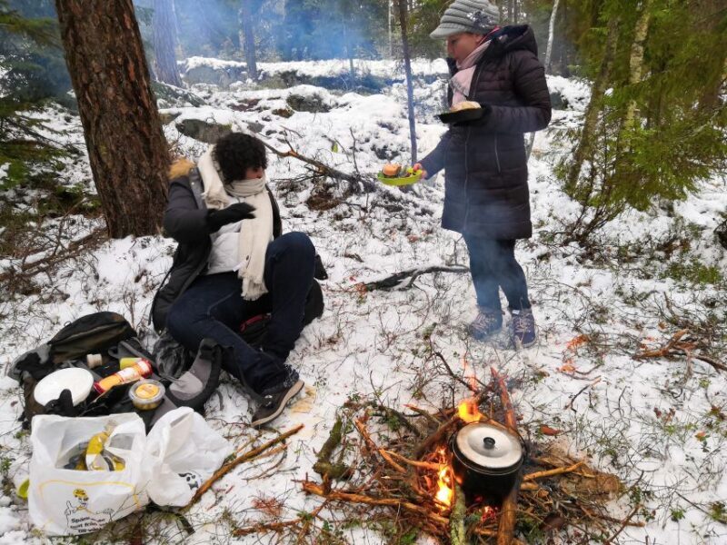Stockholm: Nature Hike with Campfire Lunch - An Authentic Nature Experience Close to Stockholm