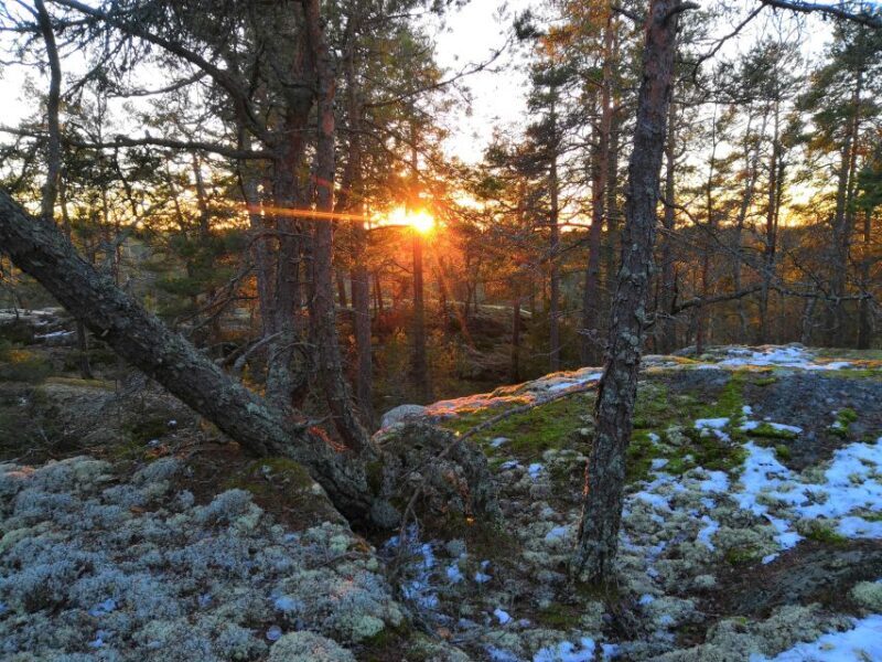 Stockholm: Nature Hike with Campfire Lunch - FAQ