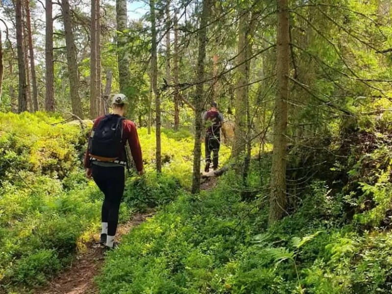Stockholm: Nature Reserve Hiking Tour with Campfire Lunch - Final Thoughts