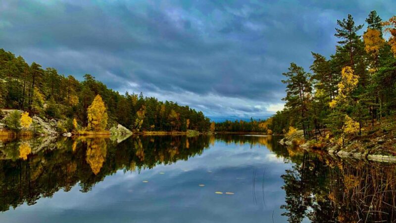 Stockholm: Nature Reserve Hiking Tour With Campfire Lunch - Whats Included