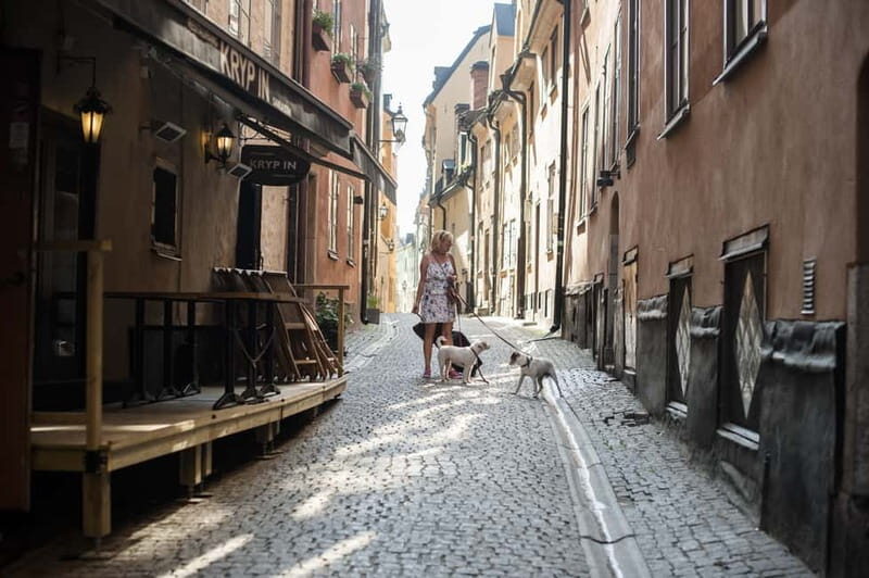 Stockholm: Old Town & Vasa Museum Skip-the-Line Private Tour - A Close Look at the Tour Experience