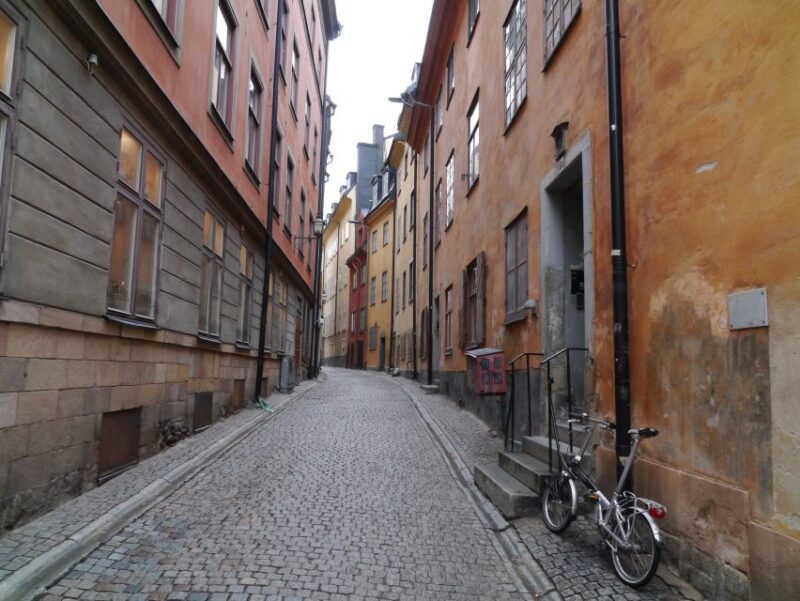 Stockholm: Private Guided Car Tour and Vasa Museum Entry - Inclusions and Features