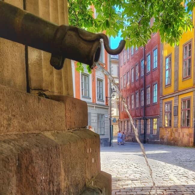 Stockholm: Royal & Classic History Walking Tour with Fika - FAQ