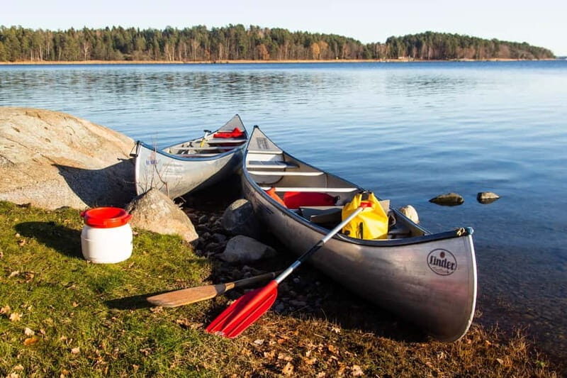 Stockholm: Sunset Canoe Beaver Safari & BBQ on Island - The Experience in Detail