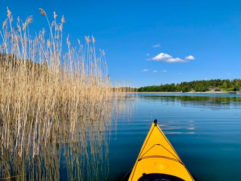 Stockholm: Sunset Kayak Tour in the Archipelago + Fika - Key Points
