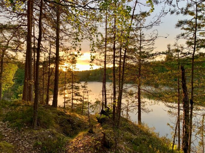Stockholm: Tyresta National Park Sunset Hike With Meal - Highlights of the Tour