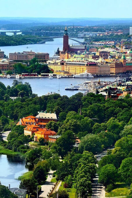 Stockholm VIP Half Day City Tour by Incl. Vasa Ship Museum - Scenic Viewpoints