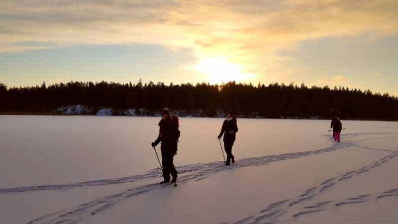 Stockholm: Winter Snowshoe Full-Day Hike - Key Points