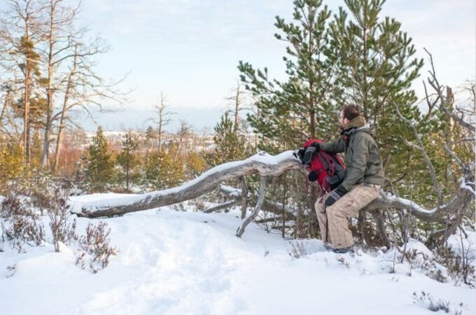 Stockholm: Winter Snowshoe Full-Day Hike - Safety Guidelines