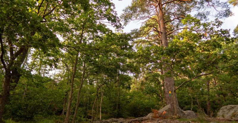 Stockholms Nacka Nature Reserve: 3-hour Hike for Beginners - Key Points