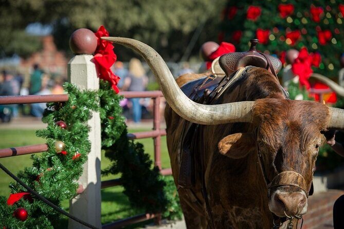Stockyards Holiday Food & Culture Tour in Forth Worth - A Flavorful Look at the Stockyards Holiday Food & Culture Tour in Forth Worth