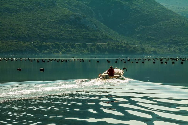 Ston Oyster & Wine Tasting Private Tour From Dubrovnik - Exploring Ston and Its Salt Pans